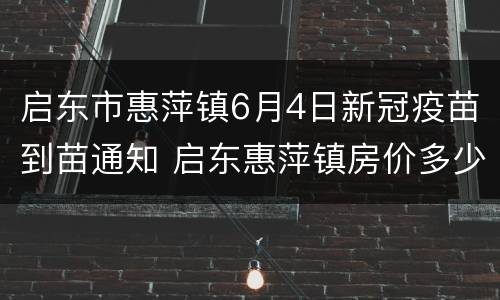 启东市惠萍镇6月4日新冠疫苗到苗通知 启东惠萍镇房价多少平方