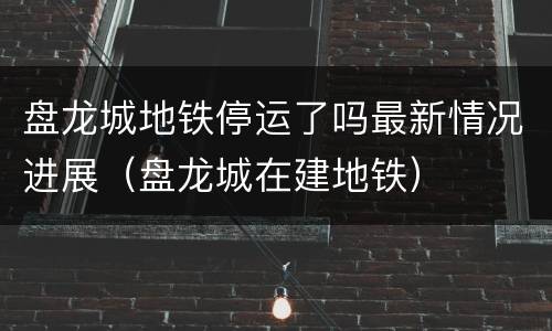 盘龙城地铁停运了吗最新情况进展（盘龙城在建地铁）