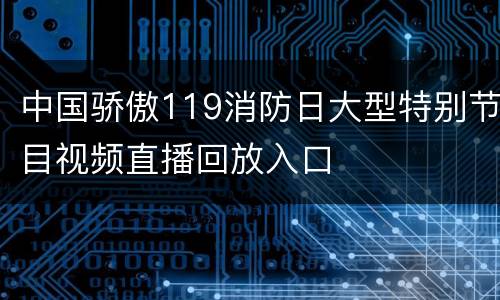 中国骄傲119消防日大型特别节目视频直播回放入口
