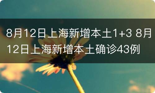 8月12日上海新增本土1+3 8月12日上海新增本土确诊43例