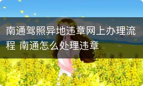 南通驾照异地违章网上办理流程 南通怎么处理违章