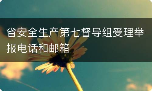 省安全生产第七督导组受理举报电话和邮箱