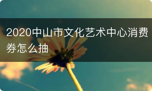 2020中山市文化艺术中心消费券怎么抽