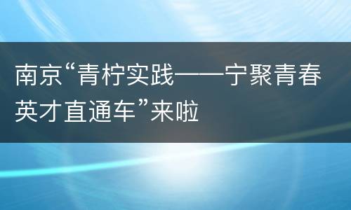 南京“青柠实践——宁聚青春英才直通车”来啦