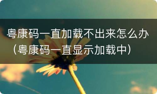 粤康码一直加载不出来怎么办（粤康码一直显示加载中）