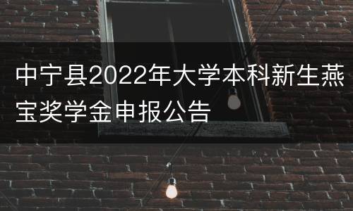 中宁县2022年大学本科新生燕宝奖学金申报公告