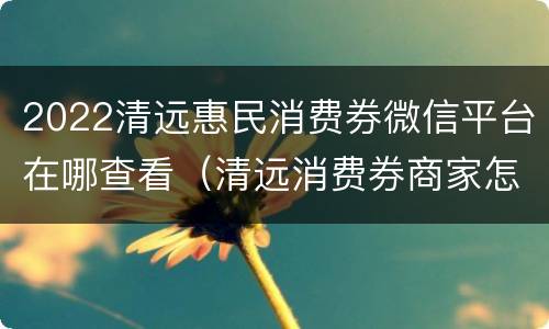 2022清远惠民消费券微信平台在哪查看（清远消费券商家怎么开通）