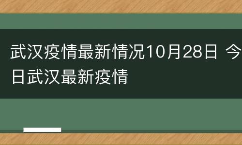 武汉疫情最新情况10月28日 今日武汉最新疫情