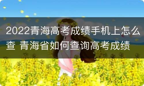 2022青海高考成绩手机上怎么查 青海省如何查询高考成绩