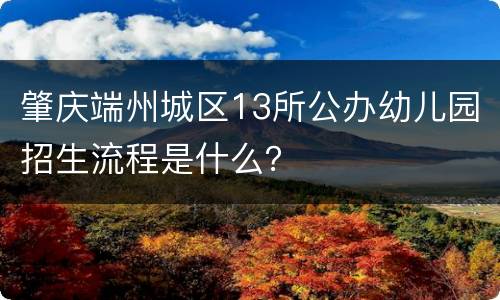 肇庆端州城区13所公办幼儿园招生流程是什么？