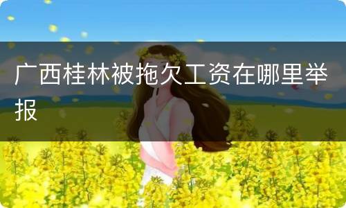 广西桂林被拖欠工资在哪里举报