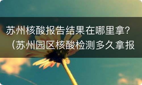 苏州核酸报告结果在哪里拿？（苏州园区核酸检测多久拿报告）