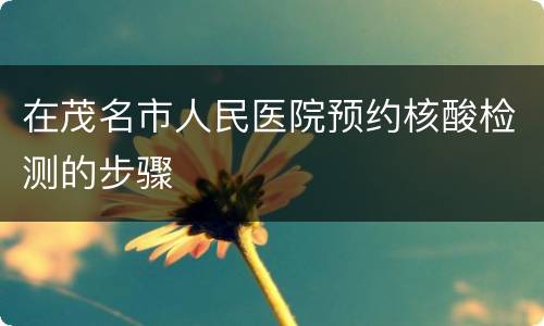 在茂名市人民医院预约核酸检测的步骤