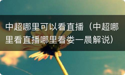 中超哪里可以看直播（中超哪里看直播哪里看娄一晨解说）
