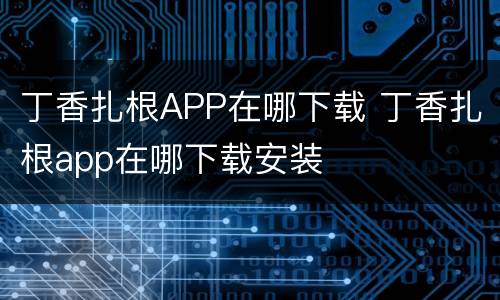 丁香扎根APP在哪下载 丁香扎根app在哪下载安装