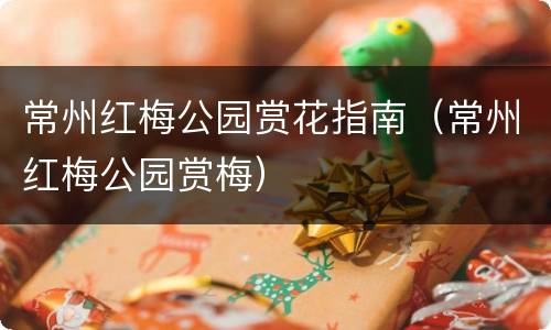 常州红梅公园赏花指南（常州红梅公园赏梅）