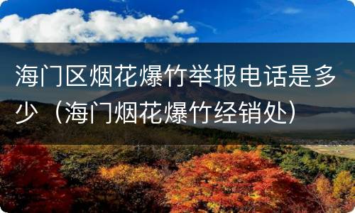 海门区烟花爆竹举报电话是多少（海门烟花爆竹经销处）