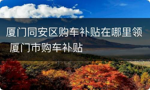 厦门同安区购车补贴在哪里领 厦门市购车补贴
