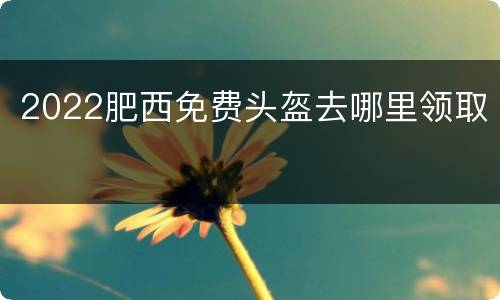 2022肥西免费头盔去哪里领取