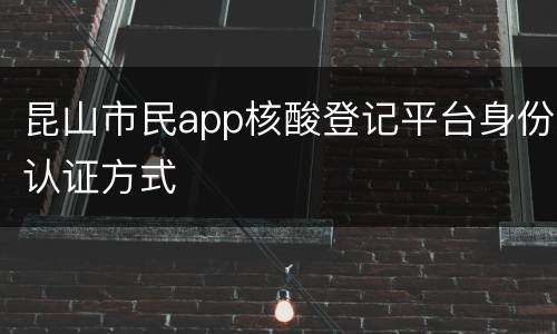昆山市民app核酸登记平台身份认证方式