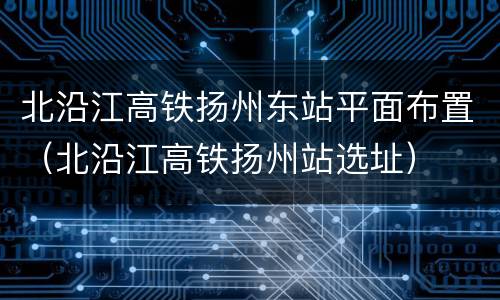 北沿江高铁扬州东站平面布置（北沿江高铁扬州站选址）