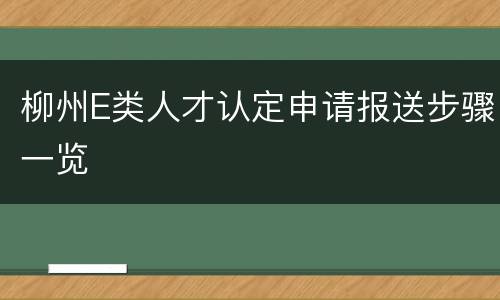 柳州E类人才认定申请报送步骤一览