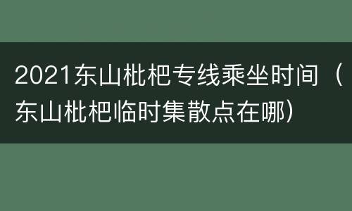 2021东山枇杷专线乘坐时间（东山枇杷临时集散点在哪）