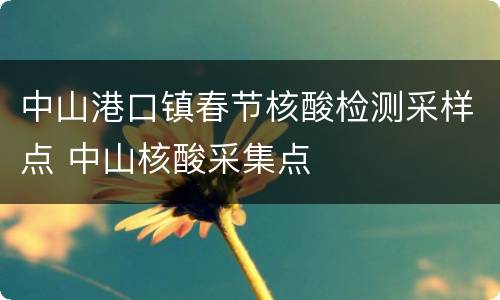 中山港口镇春节核酸检测采样点 中山核酸采集点