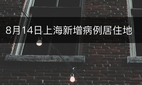 8月14日上海新增病例居住地