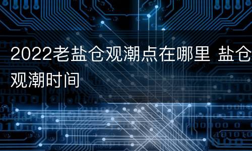 2022老盐仓观潮点在哪里 盐仓观潮时间