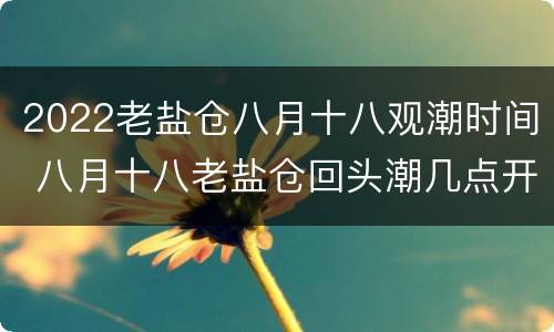 2022老盐仓八月十八观潮时间 八月十八老盐仓回头潮几点开始