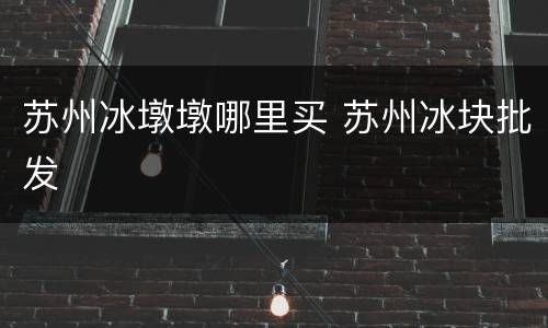 苏州冰墩墩哪里买 苏州冰块批发