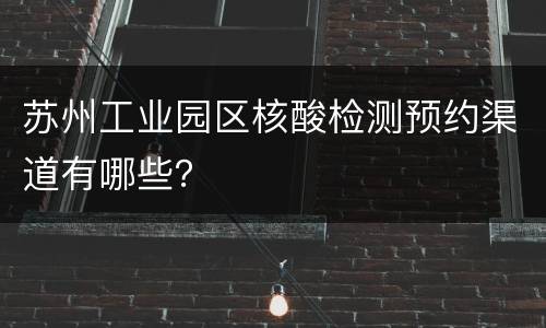 苏州工业园区核酸检测预约渠道有哪些？