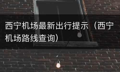 西宁机场最新出行提示（西宁机场路线查询）