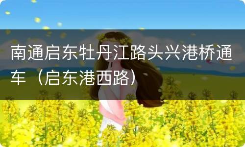 南通启东牡丹江路头兴港桥通车（启东港西路）