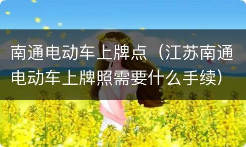 南通电动车上牌点（江苏南通电动车上牌照需要什么手续）