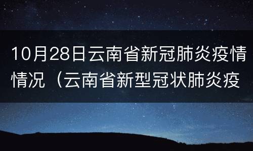 10月28日云南省新冠肺炎疫情情况（云南省新型冠状肺炎疫情）