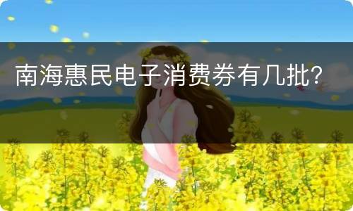 南海惠民电子消费券有几批？