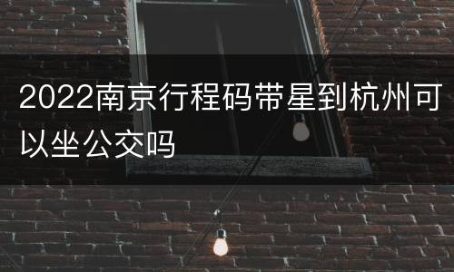 2022南京行程码带星到杭州可以坐公交吗