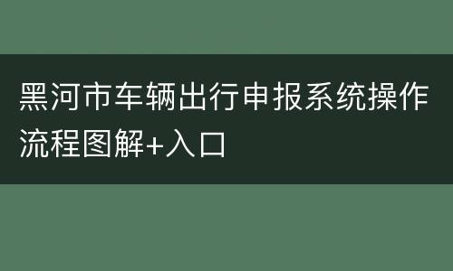 黑河市车辆出行申报系统操作流程图解+入口