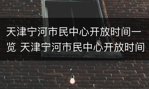 天津宁河市民中心开放时间一览 天津宁河市民中心开放时间一览表