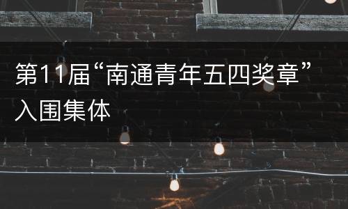 第11届“南通青年五四奖章”入围集体