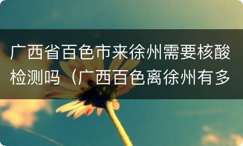广西省百色市来徐州需要核酸检测吗（广西百色离徐州有多远）