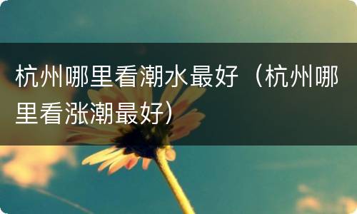 杭州哪里看潮水最好（杭州哪里看涨潮最好）