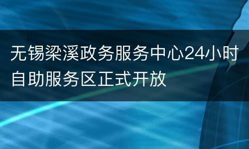 无锡梁溪政务服务中心24小时自助服务区正式开放