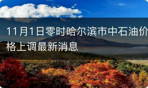 11月1日零时哈尔滨市中石油价格上调最新消息