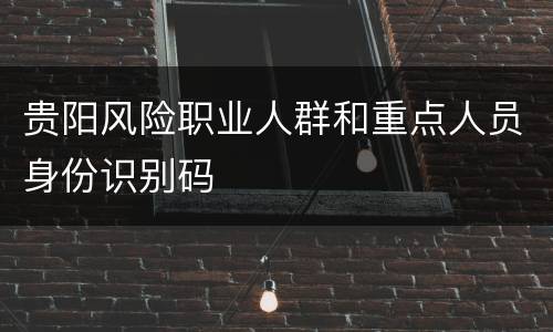 贵阳风险职业人群和重点人员身份识别码