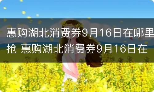 惠购湖北消费券9月16日在哪里抢 惠购湖北消费券9月16日在哪里抢购