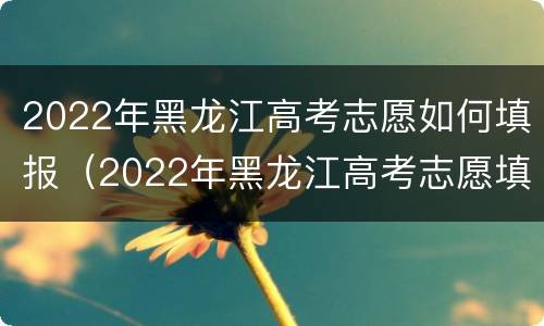 2022年黑龙江高考志愿如何填报（2022年黑龙江高考志愿填报时间截止时间）