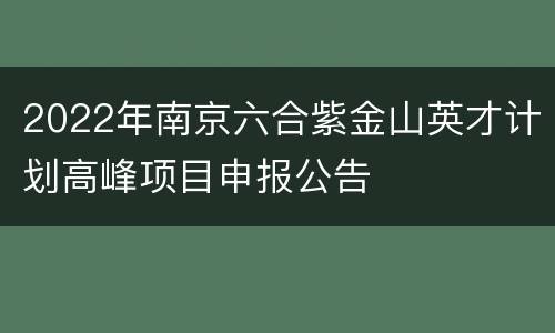 2022年南京六合紫金山英才计划高峰项目申报公告